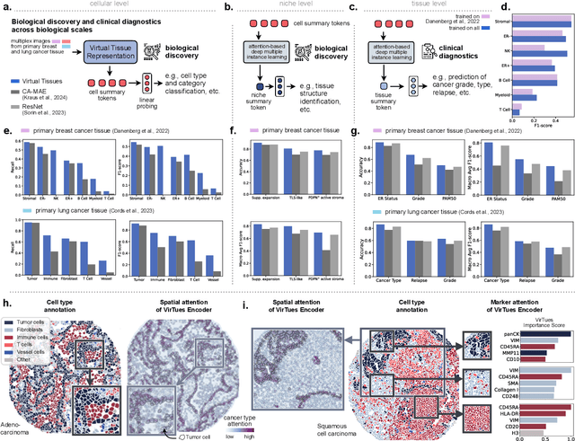 Figure 3 for AI-powered virtual tissues from spatial proteomics for clinical diagnostics and biomedical discovery