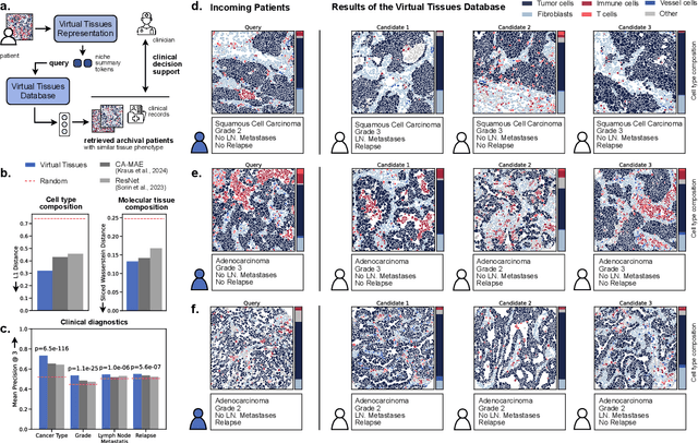 Figure 4 for AI-powered virtual tissues from spatial proteomics for clinical diagnostics and biomedical discovery