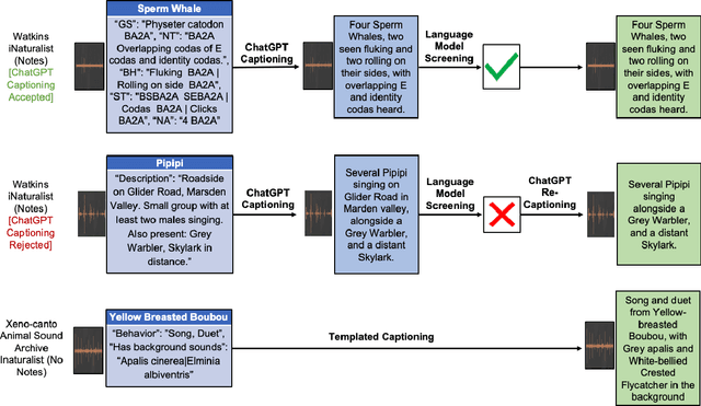 Figure 1 for Transferable Models for Bioacoustics with Human Language Supervision