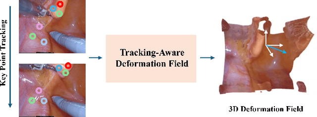 Figure 1 for Tracking-Aware Deformation Field Estimation for Non-rigid 3D Reconstruction in Robotic Surgeries