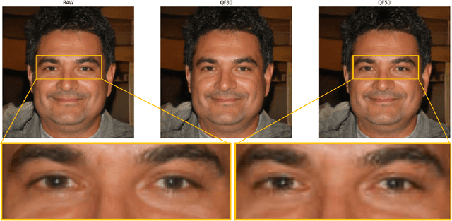 Figure 3 for DeepFeatureX Net: Deep Features eXtractors based Network for discriminating synthetic from real images