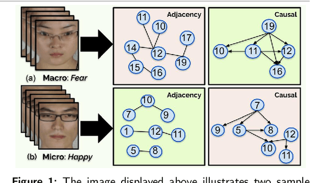 Figure 1 for Causal-Ex: Causal Graph-based Micro and Macro Expression Spotting