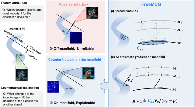Figure 3 for Derivative-Free Diffusion Manifold-Constrained Gradient for Unified XAI