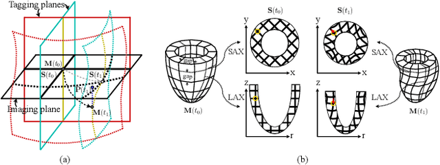 Figure 3 for Learning Volumetric Neural Deformable Models to Recover 3D Regional Heart Wall Motion from Multi-Planar Tagged MRI