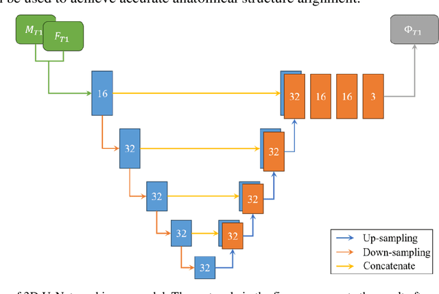 Figure 2 for A novel brain registration model combining structural and functional MRI information