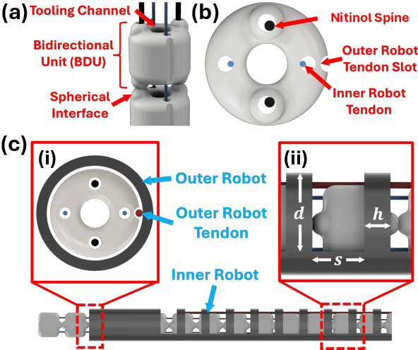 Figure 3 for Tendon-Actuated Concentric Tube Endonasal Robot (TACTER)