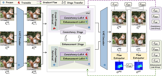 Figure 3 for One-Step Diffusion for Detail-Rich and Temporally Consistent Video Super-Resolution