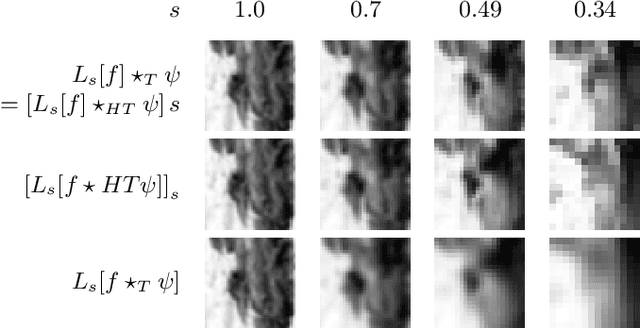 Figure 3 for Scale-Equivariant Deep Learning for 3D Data