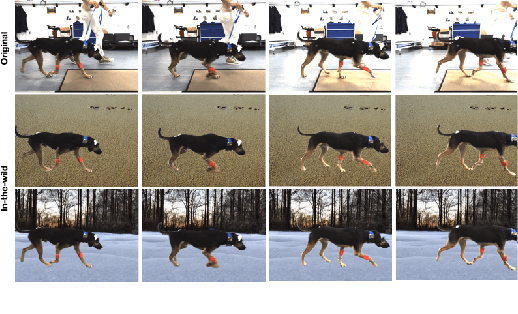 Figure 3 for Benchmarking Monocular 3D Dog Pose Estimation Using In-The-Wild Motion Capture Data