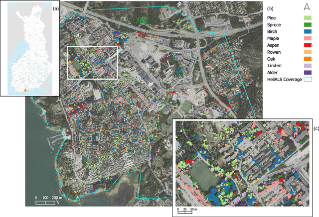Figure 1 for Multispectral airborne laser scanning for tree species classification: a benchmark of machine learning and deep learning algorithms