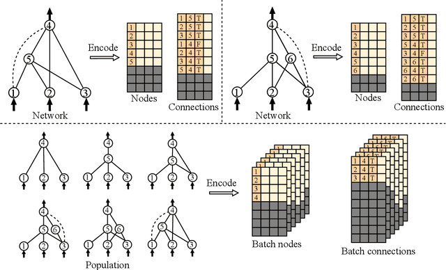 Figure 3 for Tensorized NeuroEvolution of Augmenting Topologies for GPU Acceleration