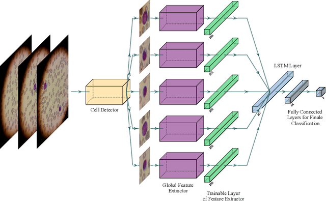 Figure 3 for Novel Pipeline for Diagnosing Acute Lymphoblastic Leukemia Sensitive to Related Biomarkers