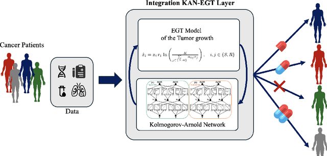 Figure 3 for Kolmogorov-Arnold Networks and Evolutionary Game Theory for More Personalized Cancer Treatment
