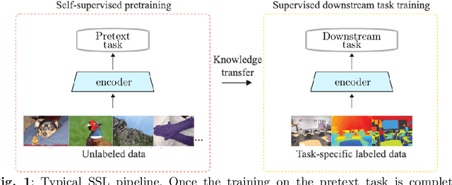Figure 1 for A review on discriminative self-supervised learning methods