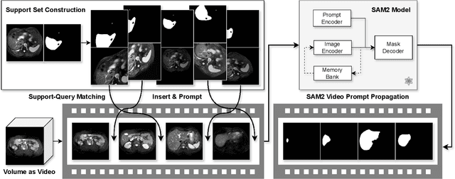 Figure 3 for Rethinking Few-Shot Medical Image Segmentation by SAM2: A Training-Free Framework with Augmentative Prompting and Dynamic Matching