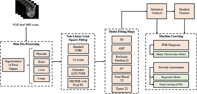 Figure 1 for PIPPI2021: An Approach to Automated Diagnosis and Texture Analysis of the Fetal Liver & Placenta in Fetal Growth Restriction