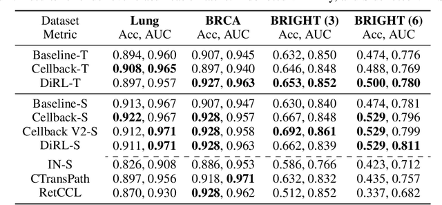 Figure 2 for Attention De-sparsification Matters: Inducing Diversity in Digital Pathology Representation Learning