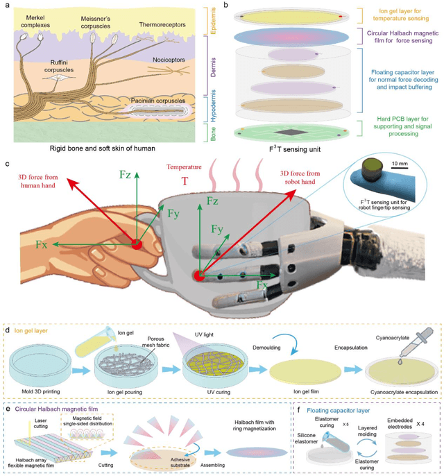 Figure 1 for F3T: A soft tactile unit with 3D force and temperature mathematical decoupling ability for robots