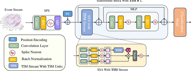 Figure 1 for TIM: An Efficient Temporal Interaction Module for Spiking Transformer