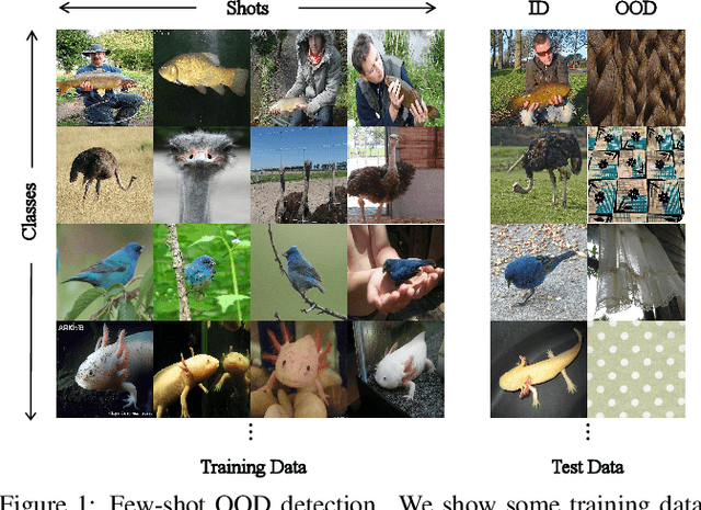Figure 1 for CLIP-driven Outliers Synthesis for few-shot OOD detection