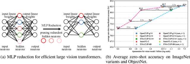 Figure 1 for Diversity-Guided MLP Reduction for Efficient Large Vision Transformers