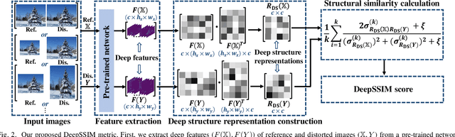Figure 2 for Structural Similarity in Deep Features: Image Quality Assessment Robust to Geometrically Disparate Reference
