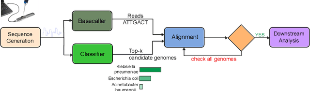 Figure 1 for Enhancing Downstream Analysis in Genome Sequencing: Species Classification While Basecalling