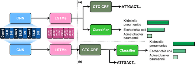 Figure 3 for Enhancing Downstream Analysis in Genome Sequencing: Species Classification While Basecalling