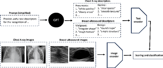 Figure 1 for Few-shot medical image classification with simple shape and texture text descriptors using vision-language models