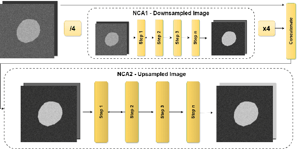 Figure 1 for MedSegDiffNCA: Diffusion Models With Neural Cellular Automata for Skin Lesion Segmentation
