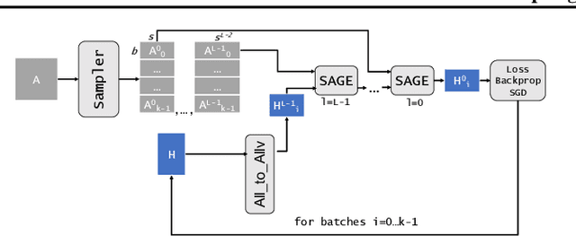 Figure 1 for Distributed Matrix-Based Sampling for Graph Neural Network Training