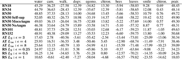 Figure 4 for Brain-like representational straightening of natural movies in robust feedforward neural networks