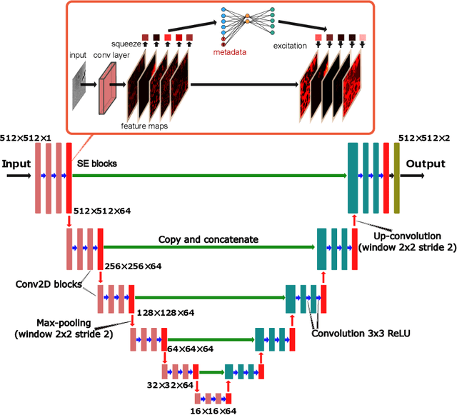 Figure 1 for Metadata Improves Segmentation Through Multitasking Elicitation