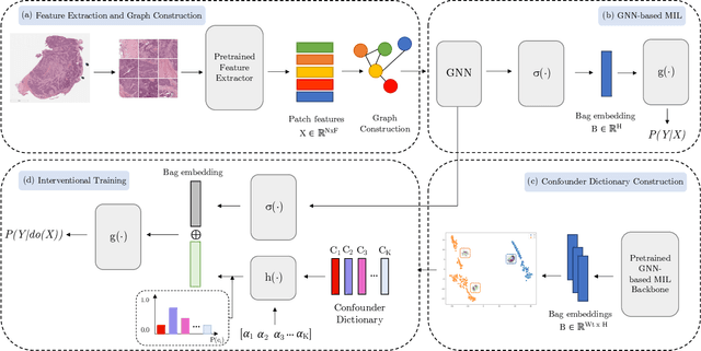 Figure 1 for The Role of Graph-based MIL and Interventional Training in the Generalization of WSI Classifiers