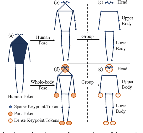 Figure 3 for GTPT: Group-based Token Pruning Transformer for Efficient Human Pose Estimation