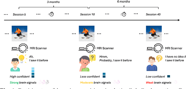 Figure 1 for BRAIN: Bias-Mitigation Continual Learning Approach to Vision-Brain Understanding