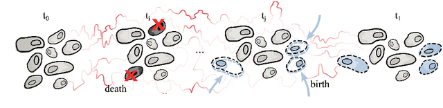 Figure 1 for Unbalanced Diffusion Schrödinger Bridge