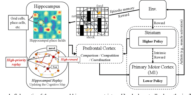 Figure 1 for HG2P: Hippocampus-inspired High-reward Graph and Model-Free Q-Gradient Penalty for Path Planning and Motion Control