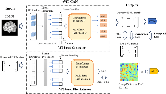 Figure 1 for Cross-Modal Synthesis of Structural MRI and Functional Connectivity Networks via Conditional ViT-GANs
