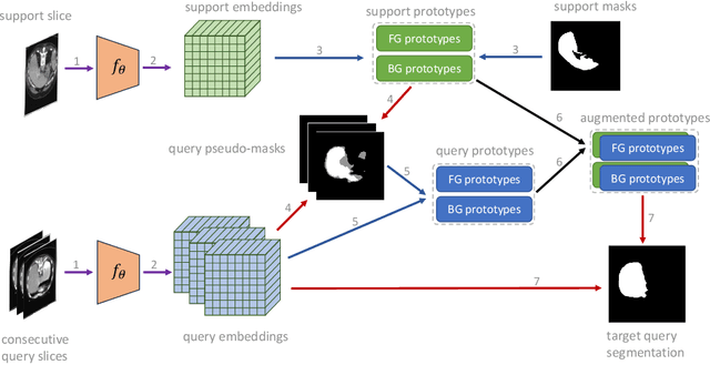 Figure 1 for Improving 3D Few-Shot Segmentation with Inference-Time Pseudo-Labeling