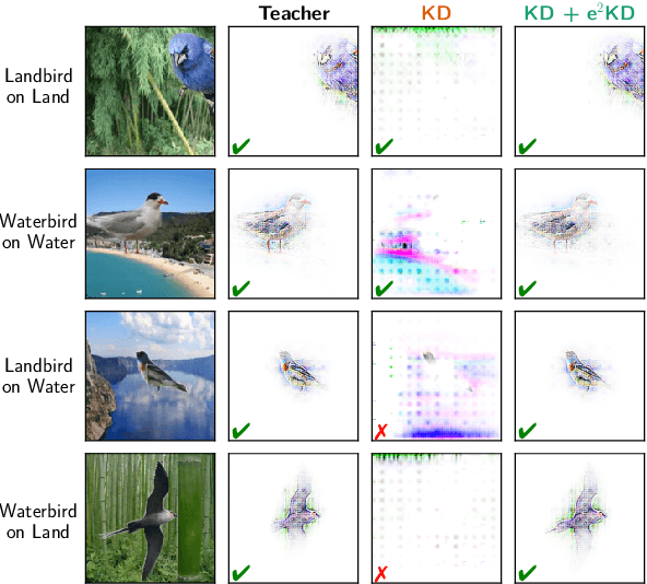 Figure 2 for Good Teachers Explain: Explanation-Enhanced Knowledge Distillation