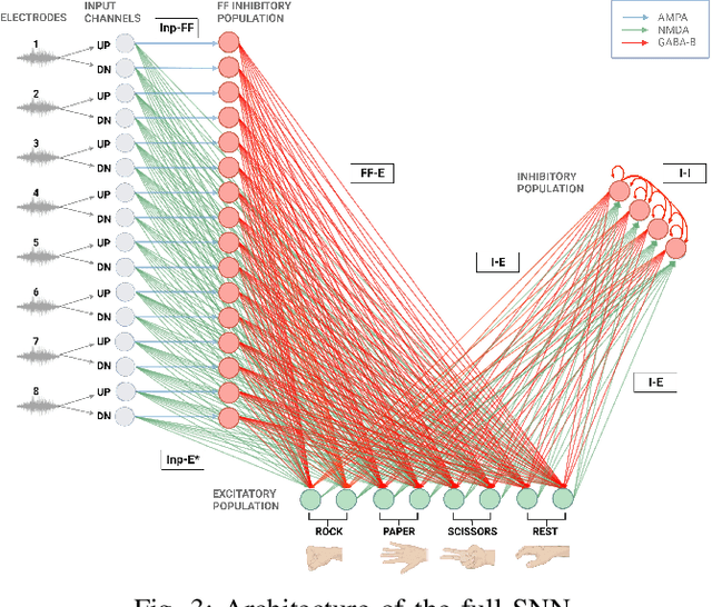 Figure 3 for Feed-forward and recurrent inhibition for compressing and classifying high dynamic range biosignals in spiking neural network architectures