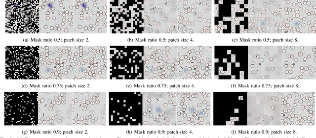 Figure 3 for Masked strategies for images with small objects