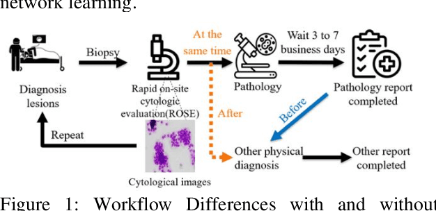 Figure 1 for Using Few-Shot Learning to Classify Primary Lung Cancer and Other Malignancy with Lung Metastasis in Cytological Imaging via Endobronchial Ultrasound Procedures