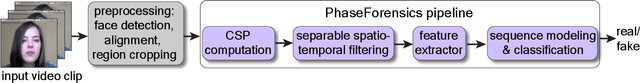 Figure 3 for Generalizable Deepfake Detection with Phase-Based Motion Analysis