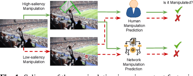 Figure 1 for Exploring Saliency Bias in Manipulation Detection