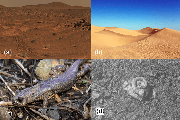 Figure 1 for A bio-inspired sand-rolling robot: effect of body shape on sand rolling performance
