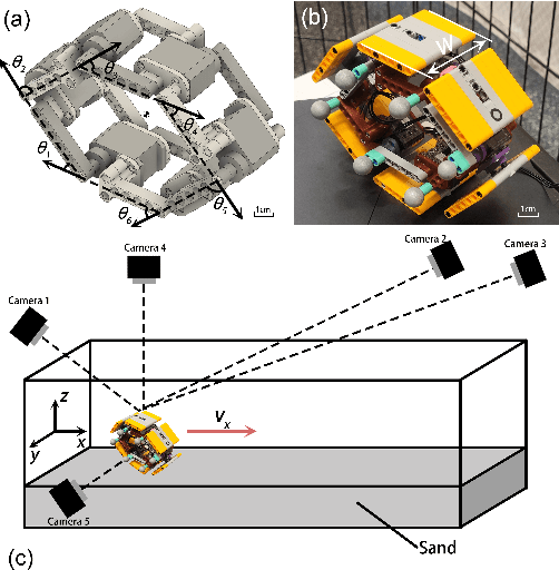 Figure 2 for A bio-inspired sand-rolling robot: effect of body shape on sand rolling performance