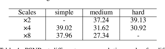 Figure 2 for Block-Based Multi-Scale Image Rescaling