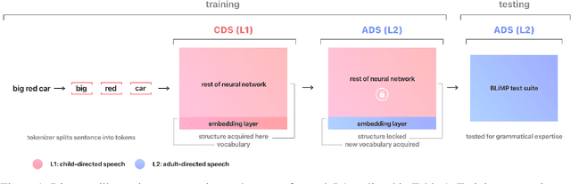 Figure 2 for SLABERT Talk Pretty One Day: Modeling Second Language Acquisition with BERT